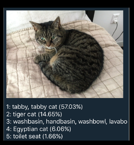 AWSB0005-05_Innovate_CatToilet